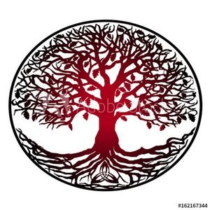 Meet your Posher, Alexxander